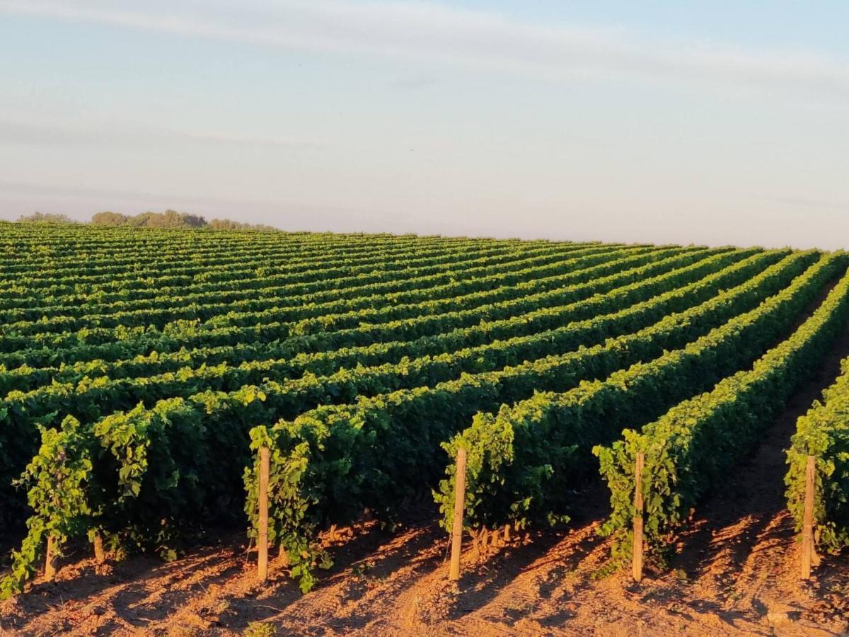Gites De L'Estagnol Villeneuve-lès-Maguelone Zewnętrze zdjęcie