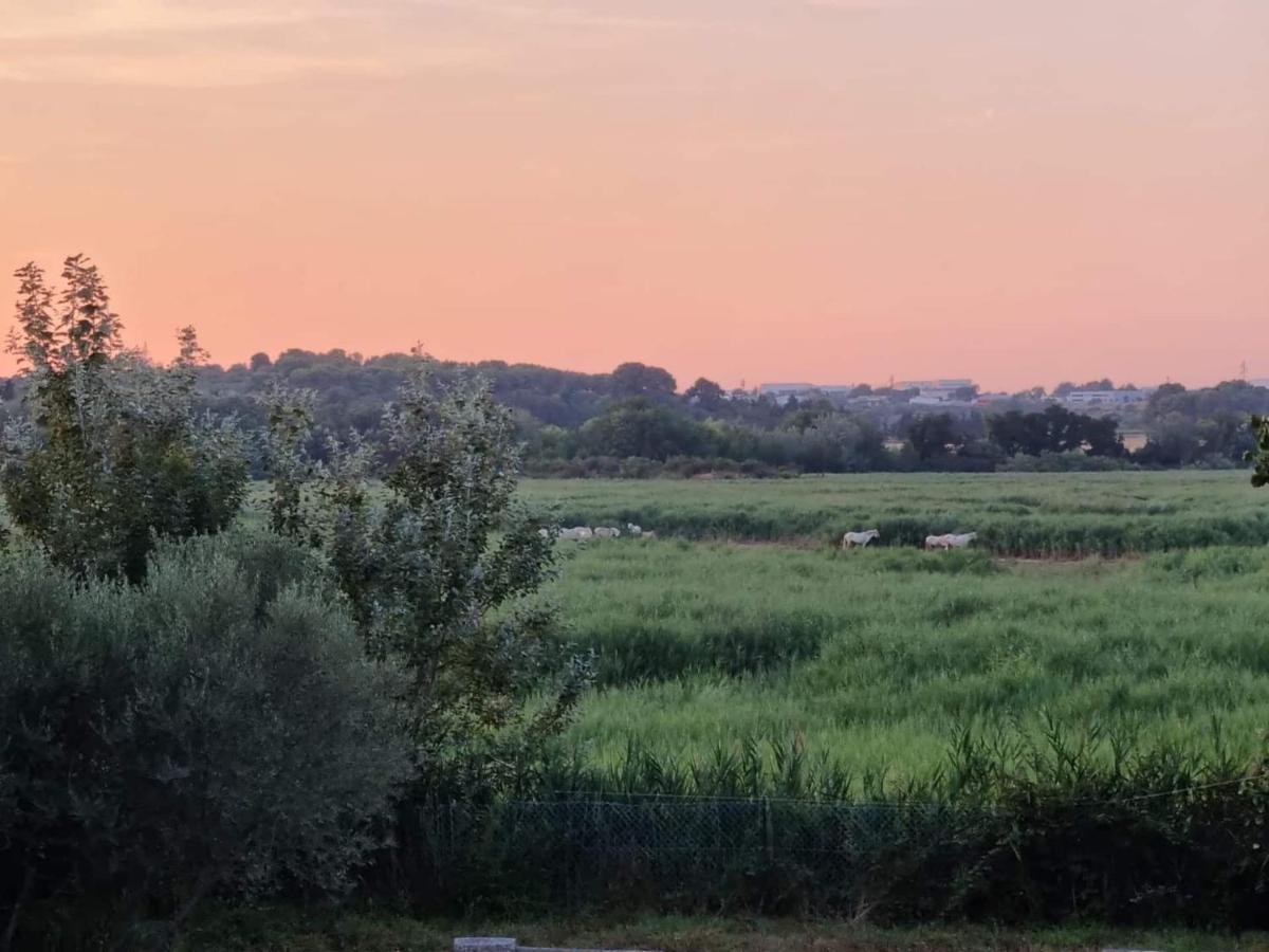 Gites De L'Estagnol Villeneuve-lès-Maguelone Zewnętrze zdjęcie